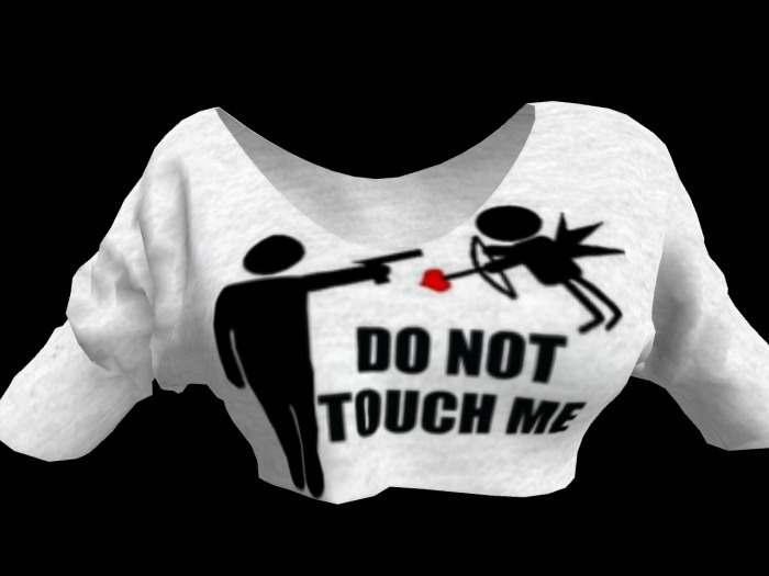 MESH donttouch croptop