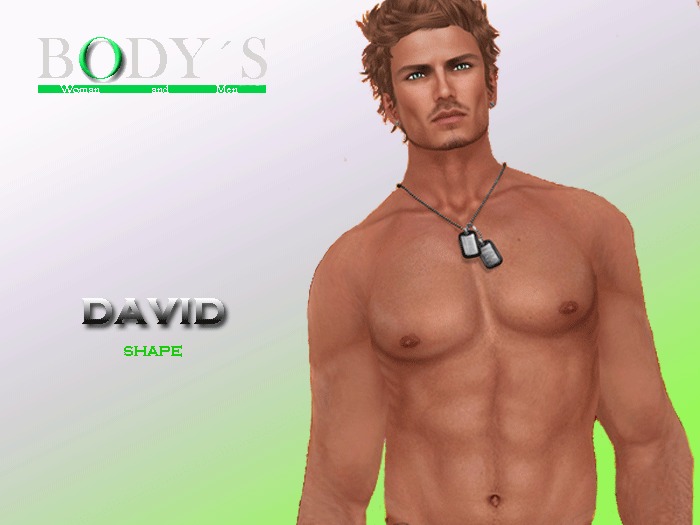David [Bodys Woman and Men] Shape