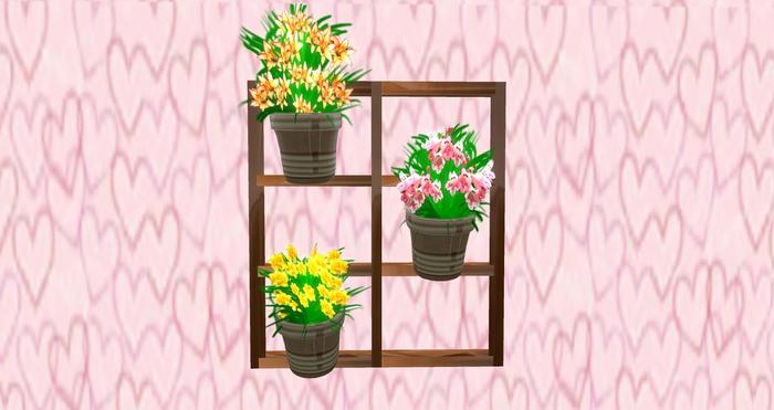 [ TL ] FURNITURE  Enfeite de Parede DOLLARBIE