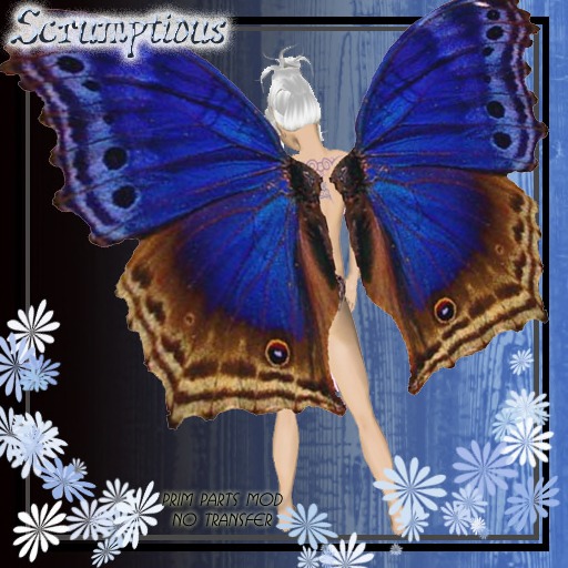 Scrumptious Subdued Blue Butterfly Wings