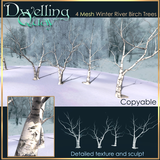 MESH Winter River Birch Trees