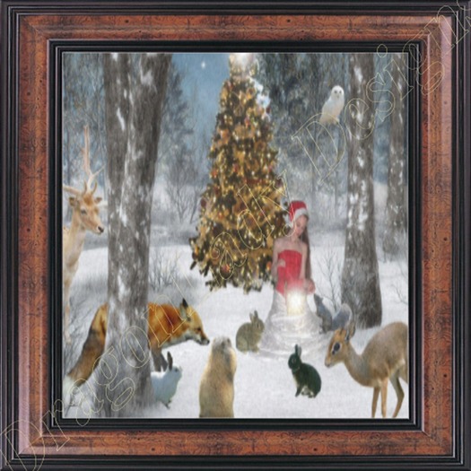 Christmas Dream