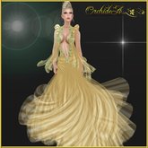 ** Orchidea**  embrasse moi gold light