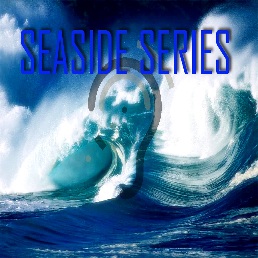 Seaside Series-Waves & Seagulls