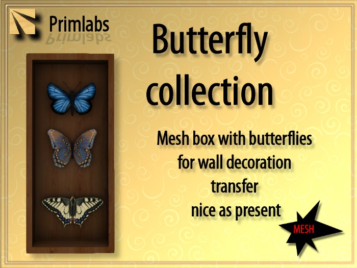 Butterfly collection