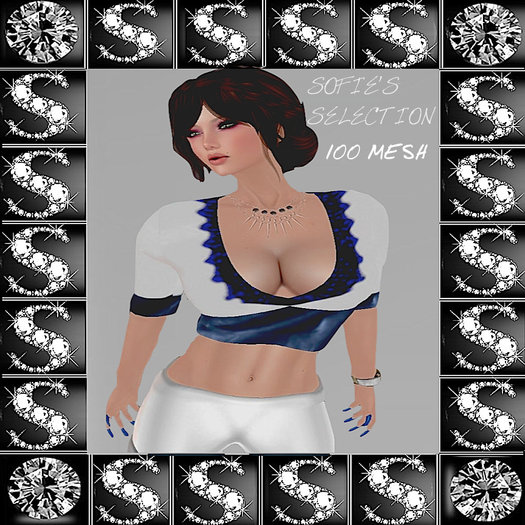 <S> Mesh v-neck Pullover (W-B)