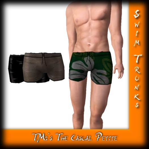 .:~*TM3*~:. [Petite] Swim Trunks