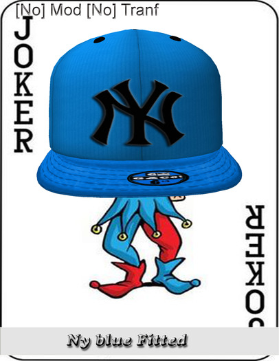 [D] ny Blue fitted