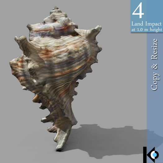3D / Sea Shell / 4 land impact
