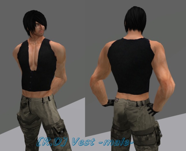 [R.D] Vest -male-