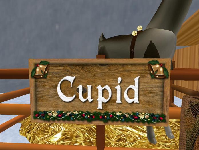 REINDEER COMET  Nameplate
