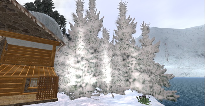 MZ - PINETA INNEVATA
