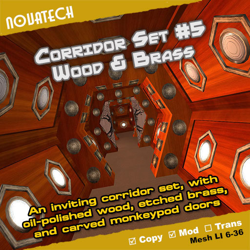 TARDIS Corridors #5 - Wood & Brass
