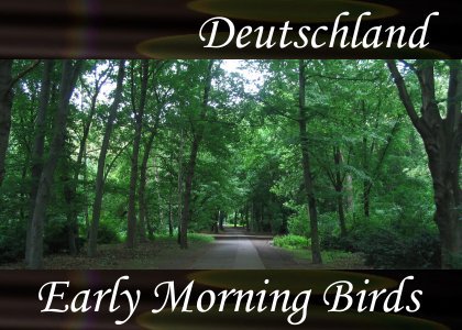Atmo-Deutschland - Early Morning Birds 1:20
