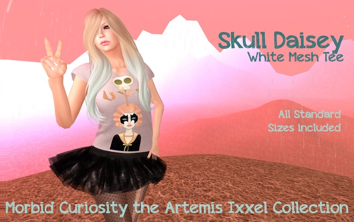 Morbid Curiosity SkullDaisey Wht