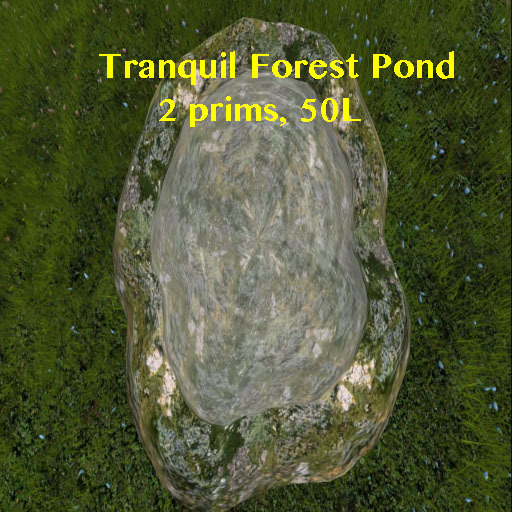 Forest Pond