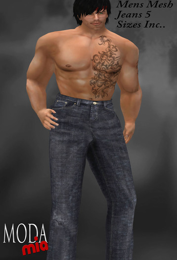 ModaMia Mens Mesh Jeans