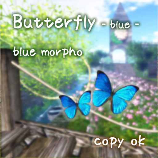 [Dai+Caco] butterflly Morpho 1.0 (Copy ok)