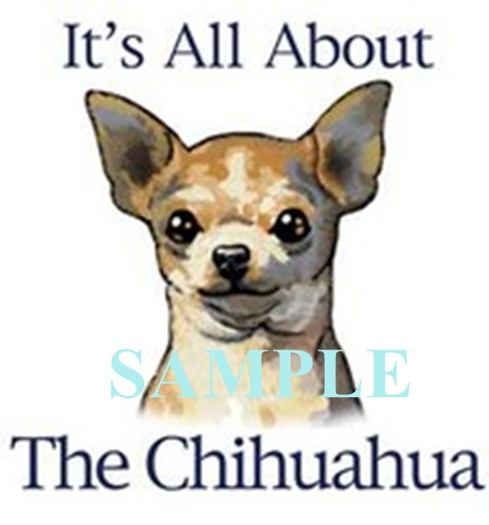 ITS ALL ABOUT THE CHIHUAHUA