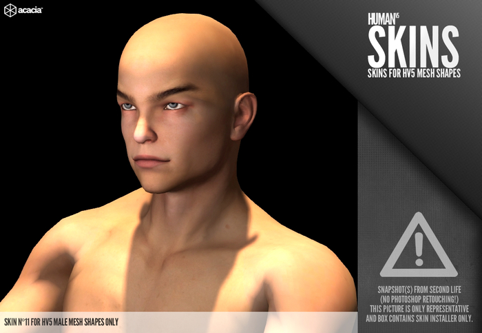 Horo - HV5 : Skin 11 (Male) (HUD - Skin Installer)