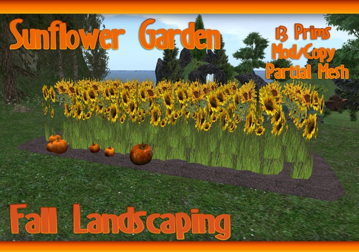 Fall Sunflower Garden