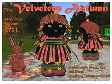 Tiny Velveteen Autumn Set