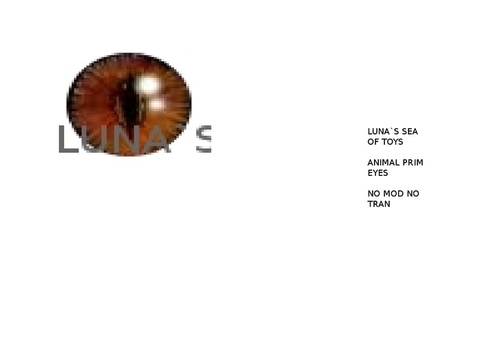 animal eyes