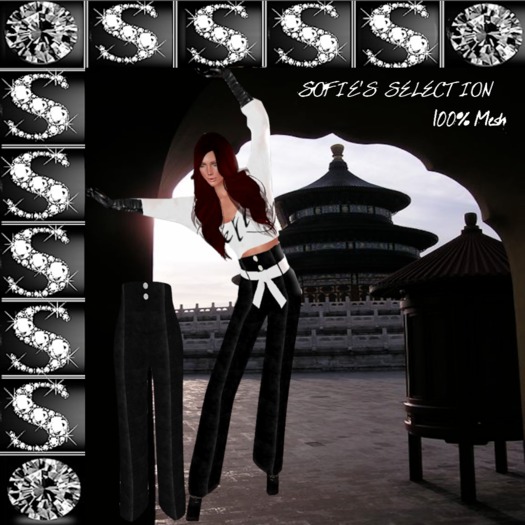 <S> Mesh High Waist Pants (Black- velvet)