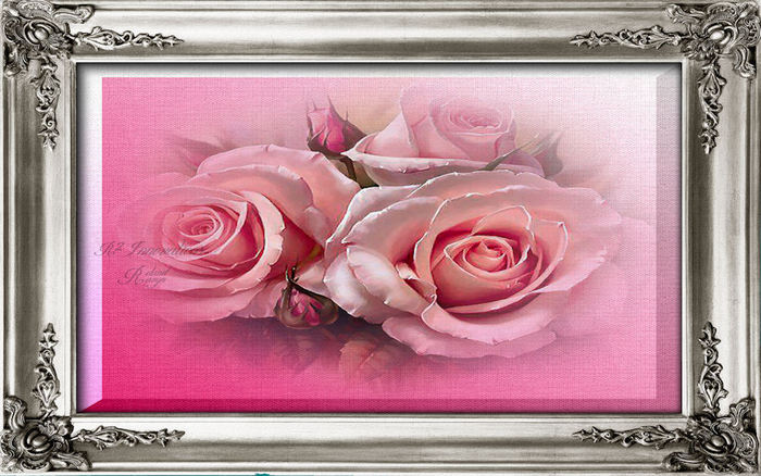 Pink Roses Silver Frame