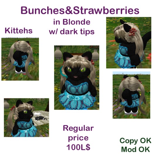 *Tiny B's Designs*Bunches&Strawberries in blonde dark tips