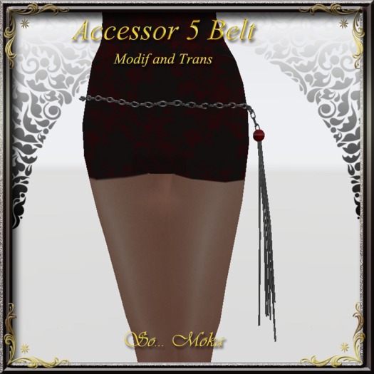 Accessor 5 Belt