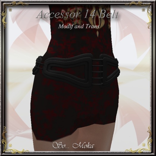 Accessor 14 belt