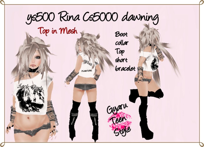 ys500 Rina Cs5000 dawning