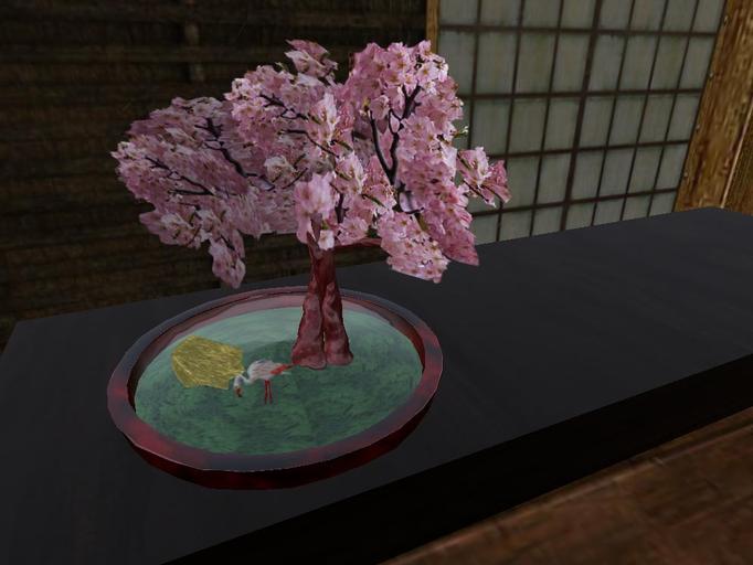 sakura bonsai (2 types) boxed