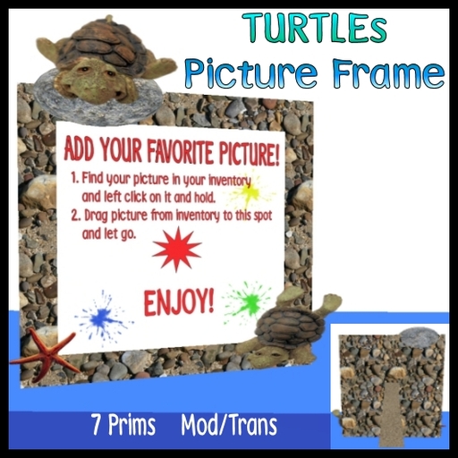 Pinkie's Turtle Picture Frame