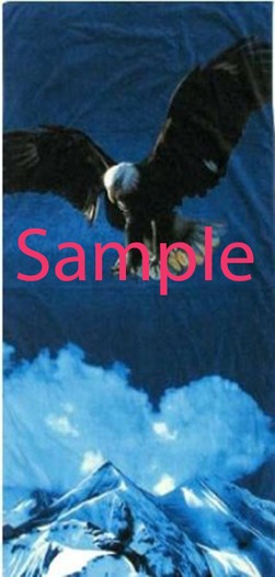 Beach Towel Mountain Eagle(boxed)