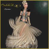 ** Orchidea** insomnia champagne black