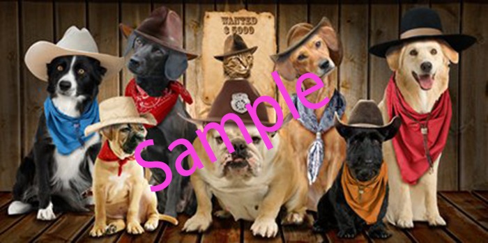 Beach Towel Sheriff's Posse(boxed)