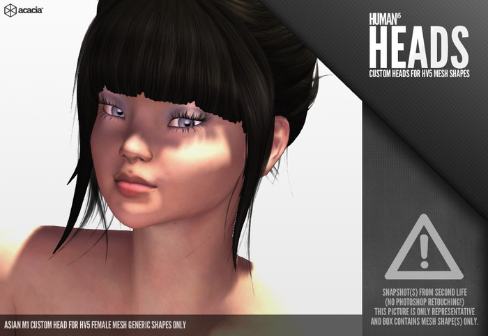 Horo - HV5 : Asian Head - M1 (Female)