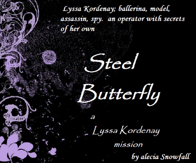 Steel Butterfly novel