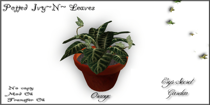 (CsG) Potted leaves with Ivy(Orange pot)