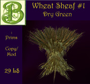 Dry Green Wheat Sheaf 1