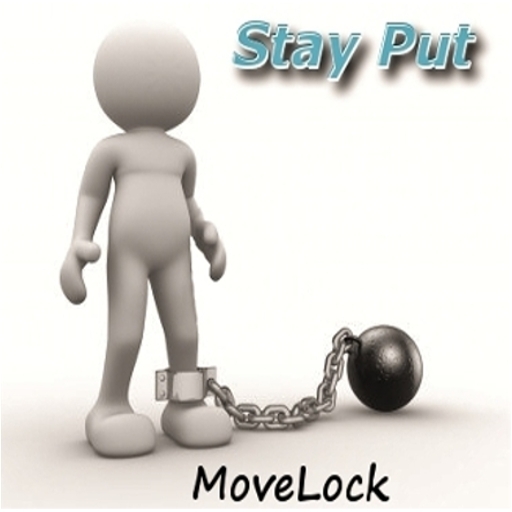 Stay Put Movelock 2013