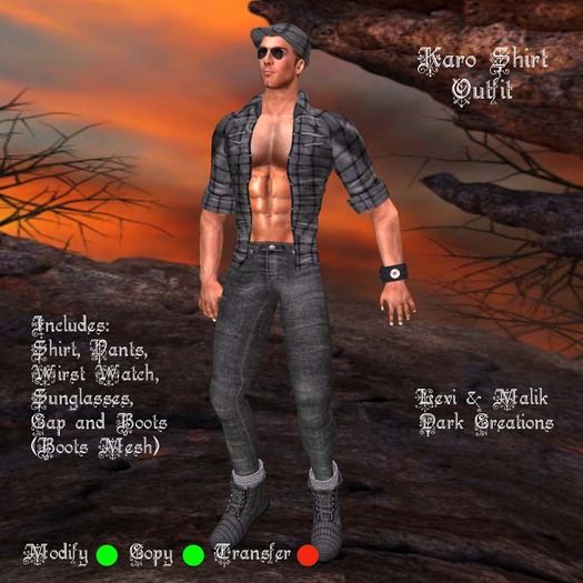 Karo Shirt Outfit