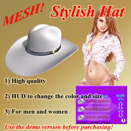 .::SKT::. Stylish Hat DEMO VERSION