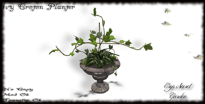 (CsG) Ivy Croton Planter