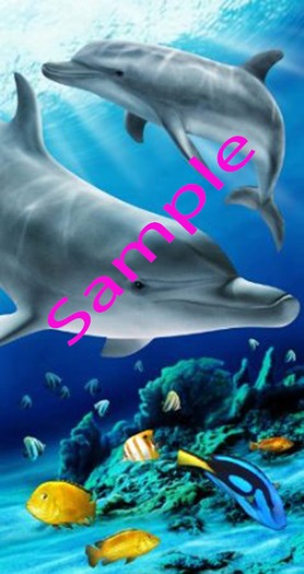 Beach Towel Dolphin (boxed)
