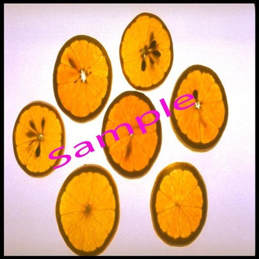 Beach Towel Orange Slice (boxed)