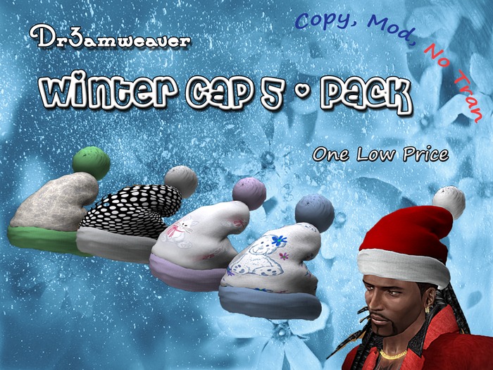 Dr3amweaver Winter Cap 5-Pack