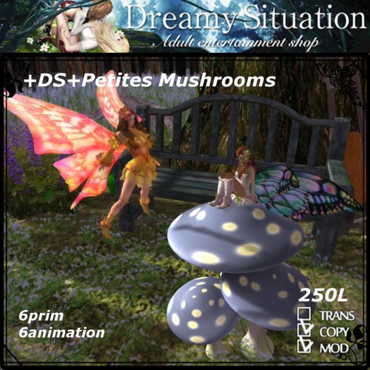 +DS+Petites Mushrooms